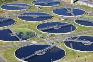 利用微生物污水處理菌處理廢水有什么優勢？