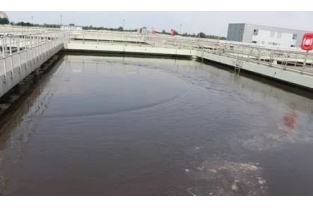 水處理中如何投加藥劑，才能讓脫氮更有效？